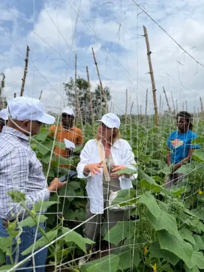 Campo Benin 2