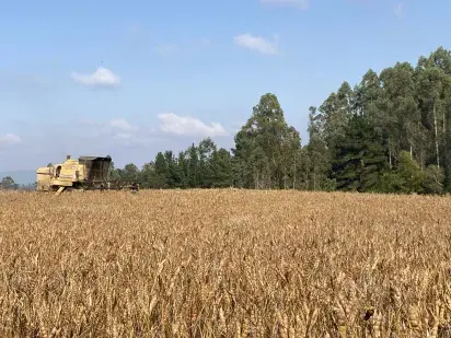Responsible agriculture