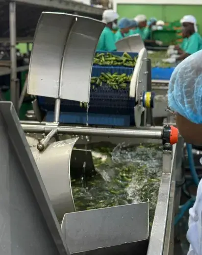 Fachada vegola nueva